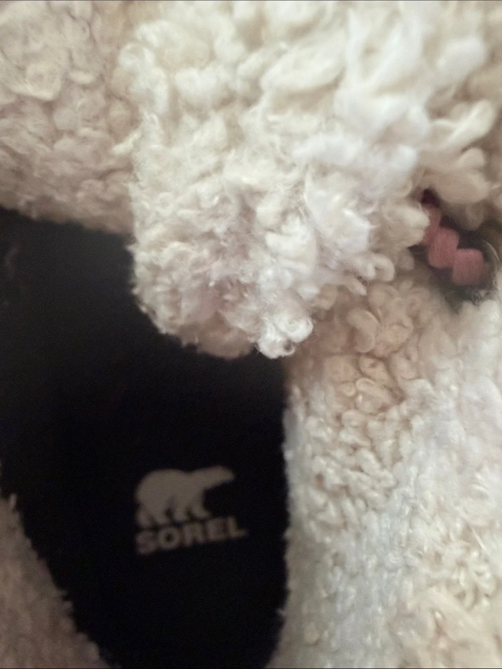Sorel out about™